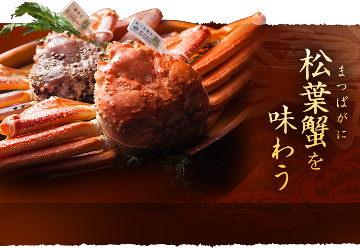 冬の味覚の王様 松葉蟹プランもございます。 松葉蟹を 味わう 